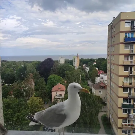 Apartament Widokowo-3